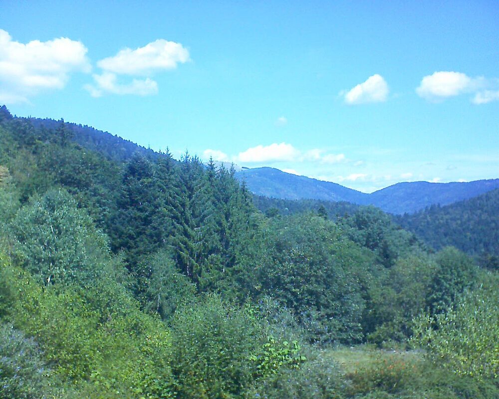Le petit ballon vu depuis le Domaine Langmatt à Murbach le 23.08.2026 à 12:30 Le petit ballon (Alsace, Vosges) le 23.08.2026 à 12:30