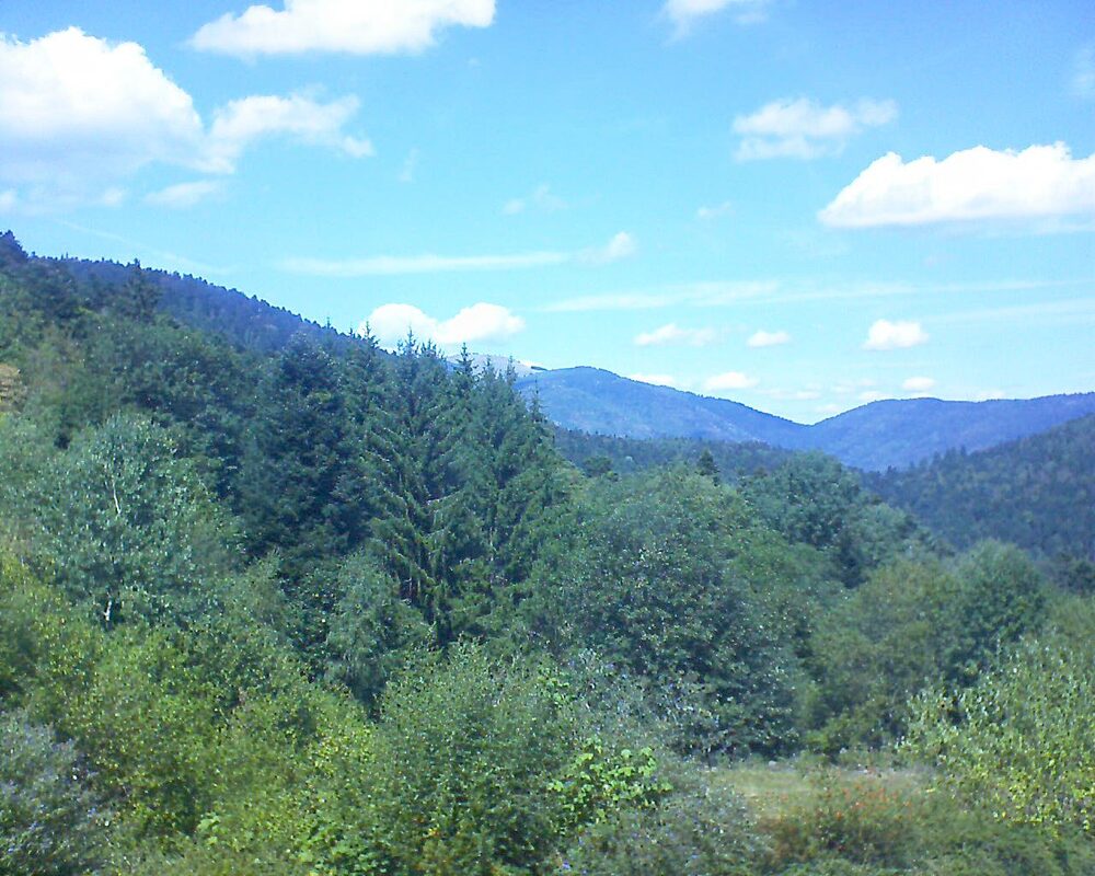 Le petit ballon vu depuis le Domaine Langmatt à Murbach le 23.08.2026 à 13:45 Le petit ballon (Alsace, Vosges) le 23.08.2026 à 13:45