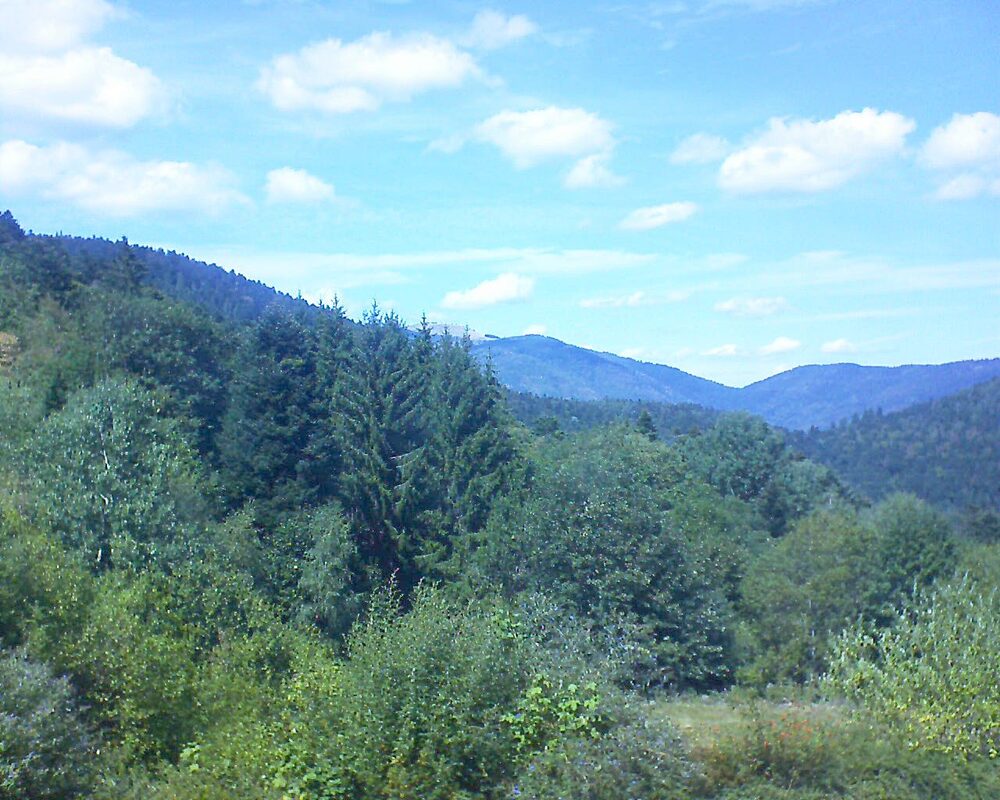Le petit ballon (Alsace, Vosges) le 23.08.2026 à 14:30