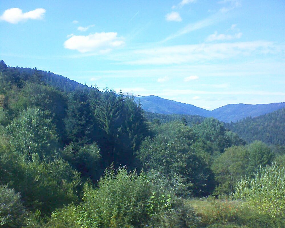 Le petit ballon (Alsace, Vosges) le 23.08.2026 à 16:30