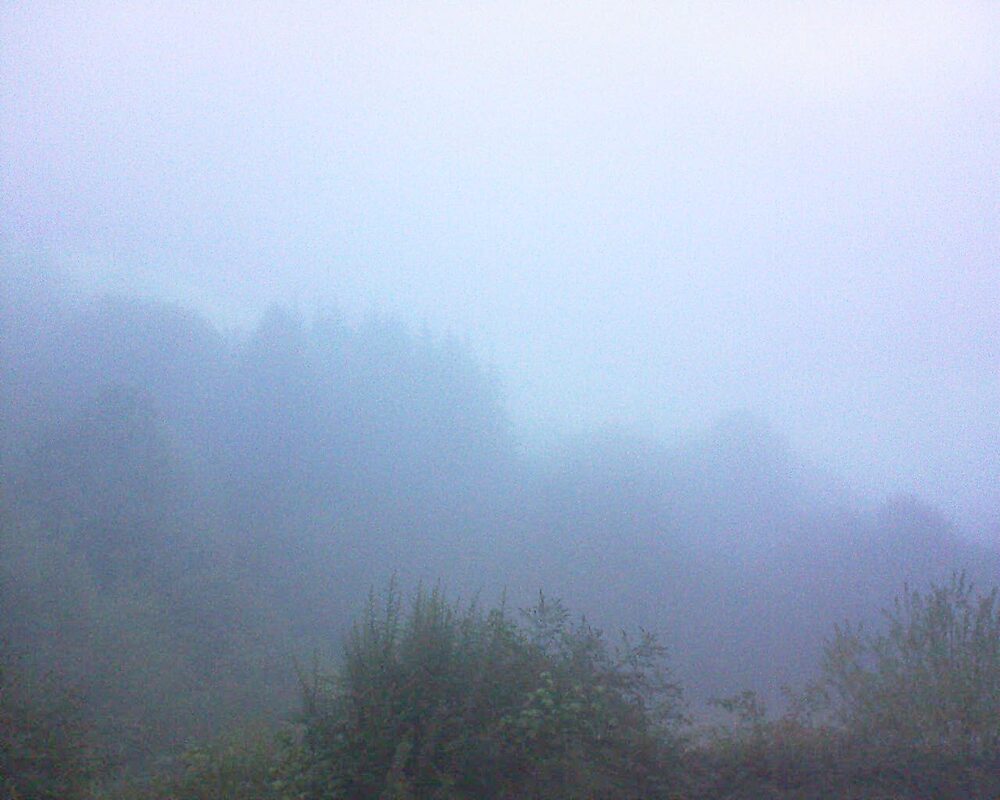 Le petit ballon (Alsace, Vosges) le 25.08.2026 à 07:00