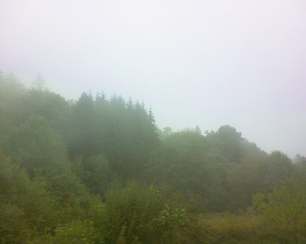 Le petit ballon (Alsace, Vosges) le 25.08.2026 à 12:30