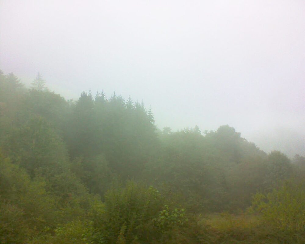 Le petit ballon (Alsace, Vosges) le 25.08.2026 à 13:15