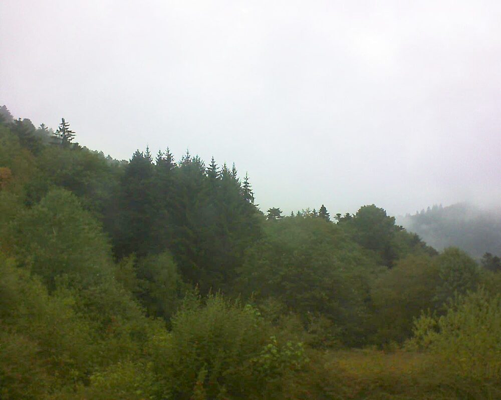 Le petit ballon (Alsace, Vosges) le 25.08.2026 à 13:30