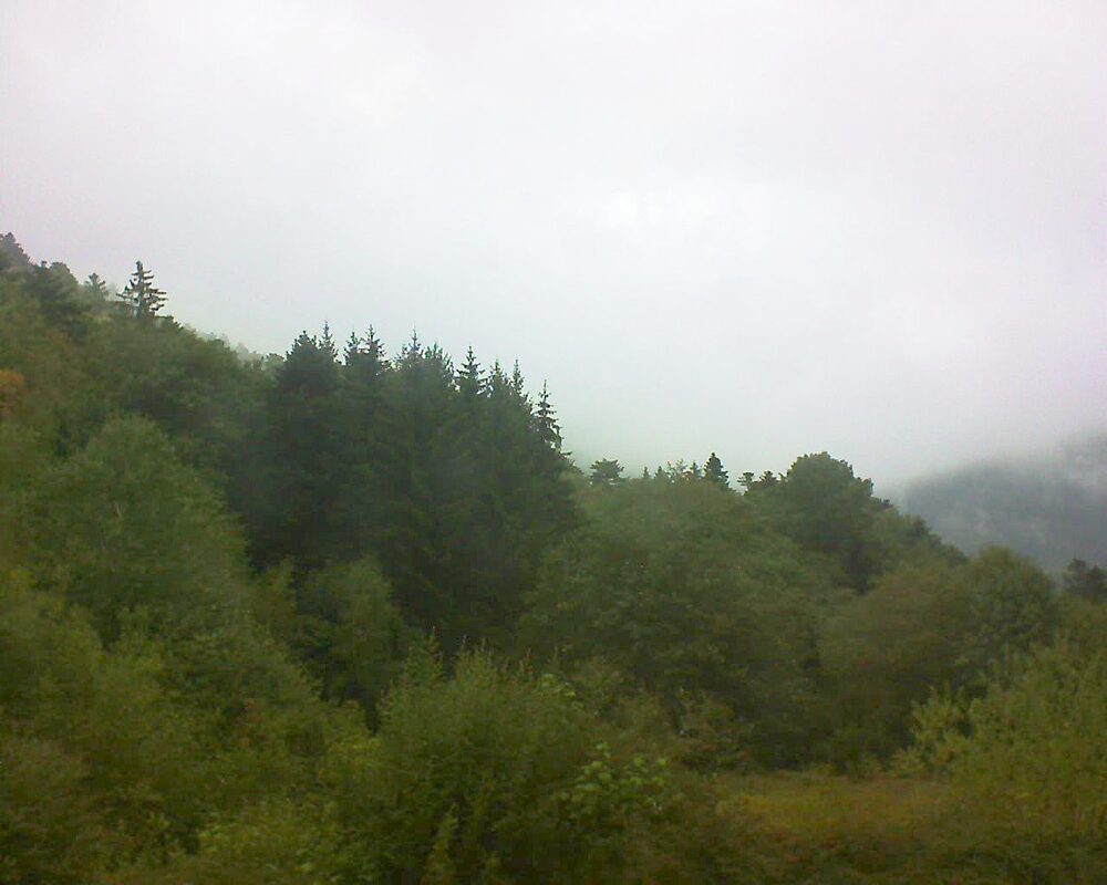 Le petit ballon (Alsace, Vosges) le 25.08.2026 à 13:45