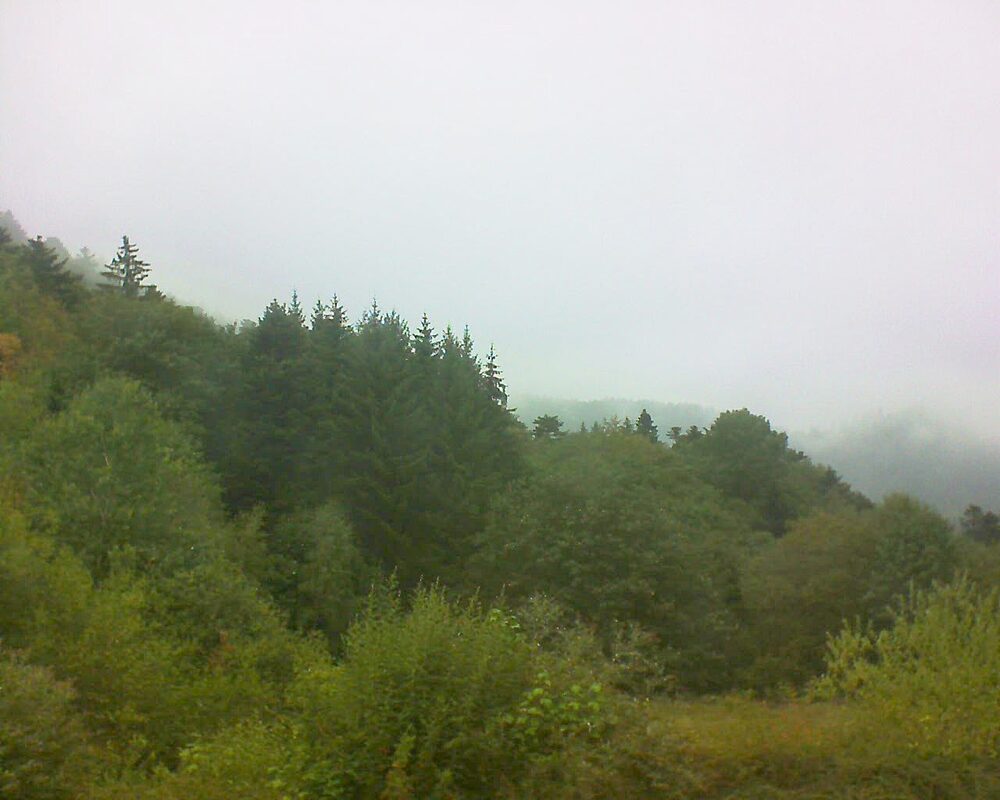 Le petit ballon vu depuis le Domaine Langmatt à Murbach le 25.08.2026 à 14:30 Le petit ballon (Alsace, Vosges) le 25.08.2026 à 14:30