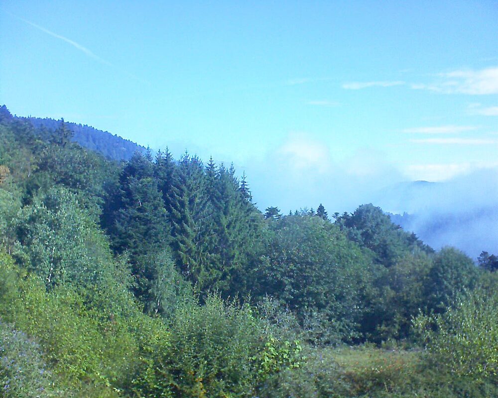 Le petit ballon vu depuis le Domaine Langmatt à Murbach le 26.08.2026 à 10:30 Le petit ballon (Alsace, Vosges) le 26.08.2026 à 10:30