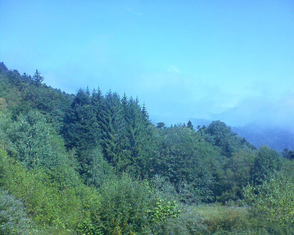 Le petit ballon vu depuis le Domaine Langmatt à Murbach le 26.08.2026 à 11:30 Le petit ballon (Alsace, Vosges) le 26.08.2026 à 11:30