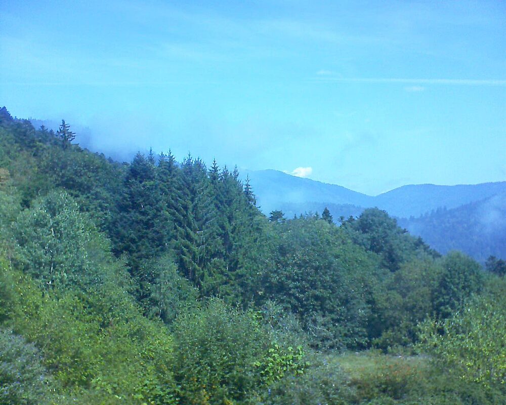 Le petit ballon (Alsace, Vosges) le 26.08.2026 à 12:15