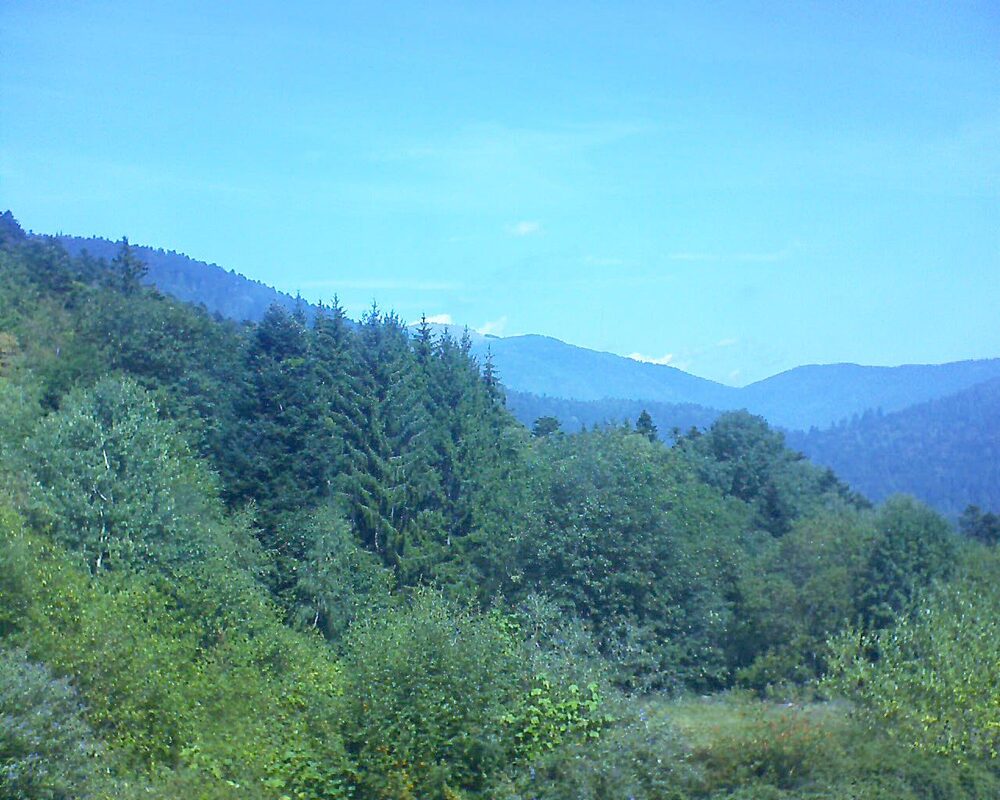 Le petit ballon (Alsace, Vosges) le 26.08.2026 à 12:30