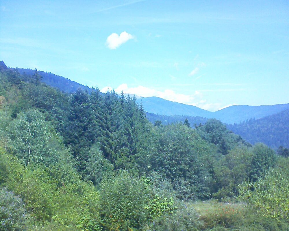 Le petit ballon vu depuis le Domaine Langmatt à Murbach le 26.08.2026 à 12:45 Le petit ballon (Alsace, Vosges) le 26.08.2026 à 12:45