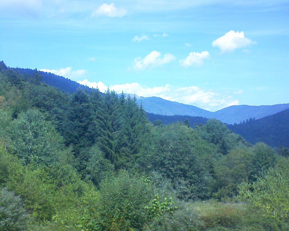 Le petit ballon (Alsace, Vosges) le 26.08.2026 à 13:15