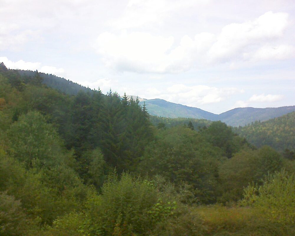 Le petit ballon (Alsace, Vosges) le 26.08.2026 à 14:30