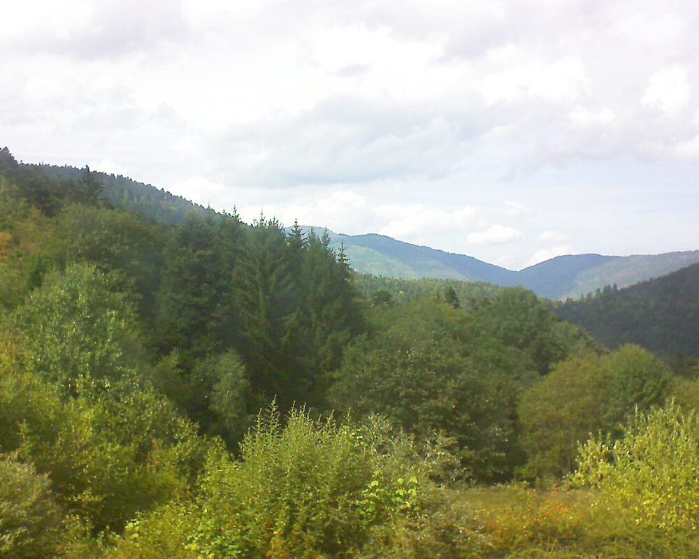 Le petit ballon (Alsace, Vosges) le 26.08.2026 à 15:30