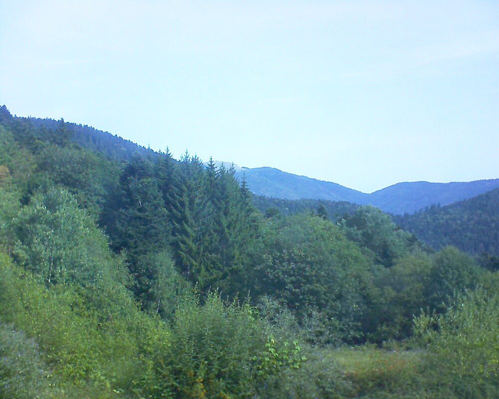 Le petit ballon vu depuis le Domaine Langmatt à Murbach le 27.08.2026 à 10:30 Le petit ballon (Alsace, Vosges) le 27.08.2026 à 10:30