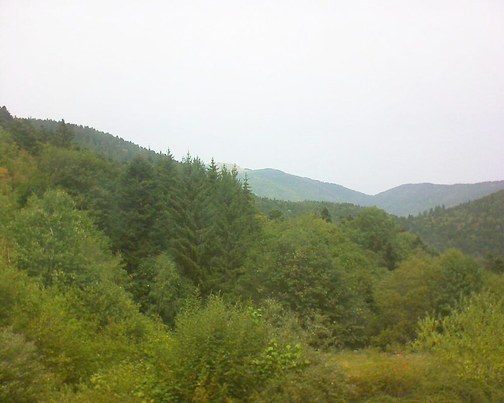 Le petit ballon vu depuis le Domaine Langmatt à Murbach le 27.08.2026 à 13:30 Le petit ballon (Alsace, Vosges) le 27.08.2026 à 13:30