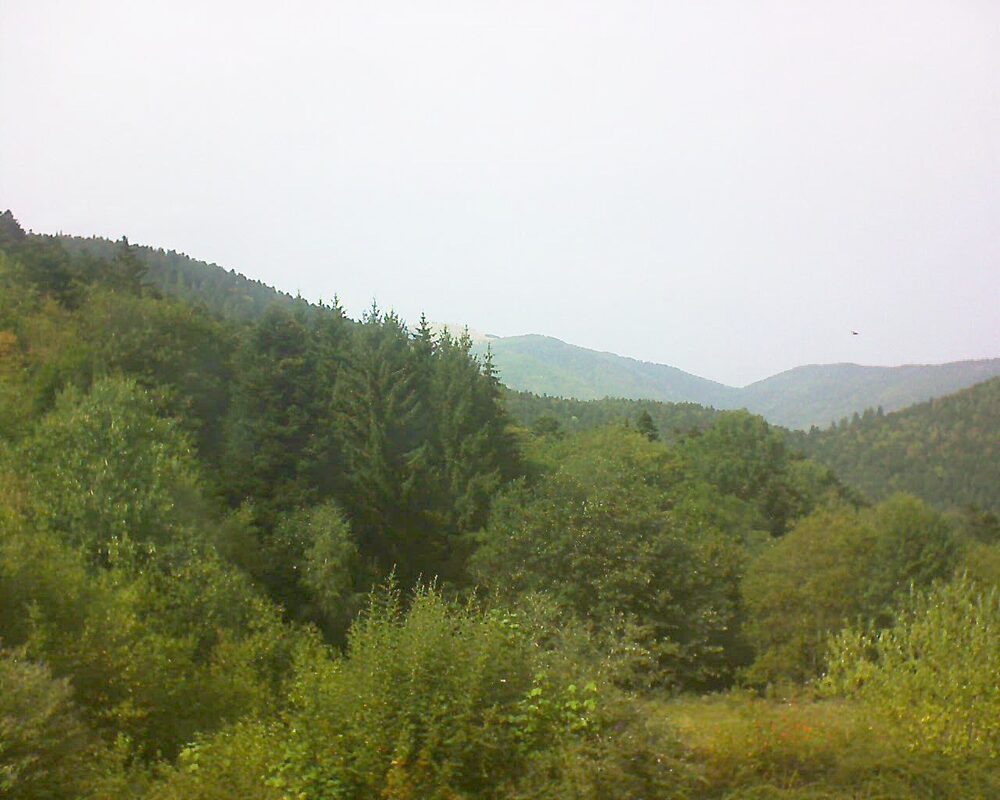 Le petit ballon (Alsace, Vosges) le 27.08.2026 à 15:30