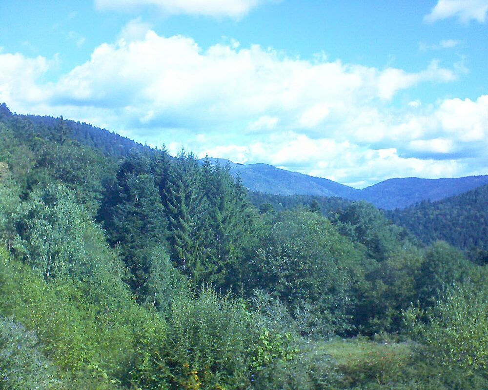 Le petit ballon (Alsace, Vosges) le 29.08.2026 à 10:30