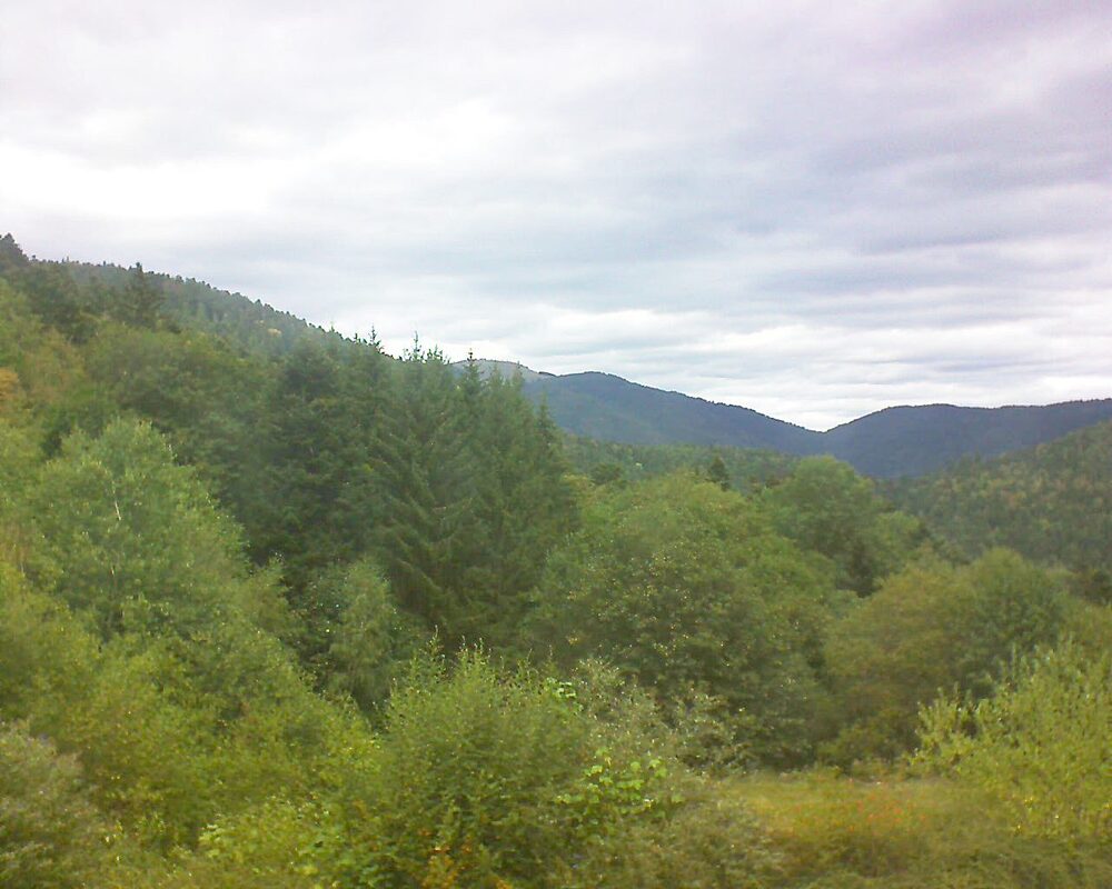 Le petit ballon vu depuis le Domaine Langmatt à Murbach le 29.08.2026 à 13:15 Le petit ballon (Alsace, Vosges) le 29.08.2026 à 13:15