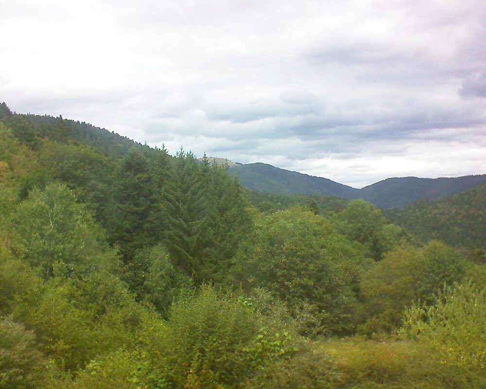 Le petit ballon (Alsace, Vosges) le 29.08.2026 à 13:45