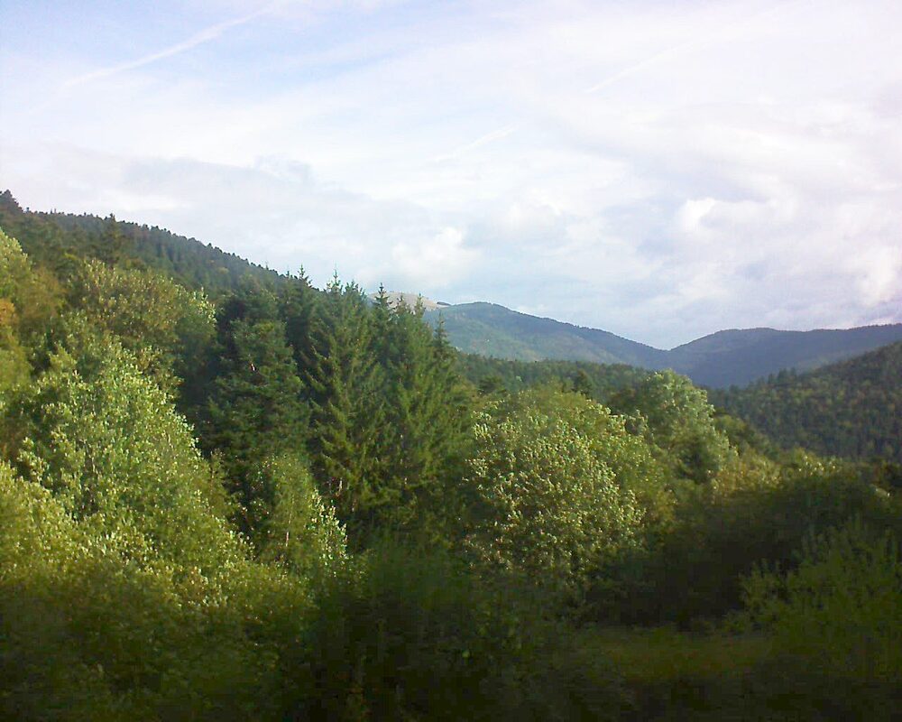 Le petit ballon vu depuis le Domaine Langmatt à Murbach le 30.08.2026 à 09:30 Le petit ballon (Alsace, Vosges) le 30.08.2026 à 09:30