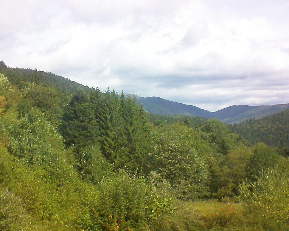 Le petit ballon vu depuis le Domaine Langmatt à Murbach le 30.08.2026 à 11:30 Le petit ballon (Alsace, Vosges) le 30.08.2026 à 11:30