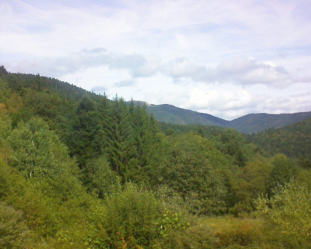 Le petit ballon vu depuis le Domaine Langmatt à Murbach le 30.08.2026 à 12:30 Le petit ballon (Alsace, Vosges) le 30.08.2026 à 12:30