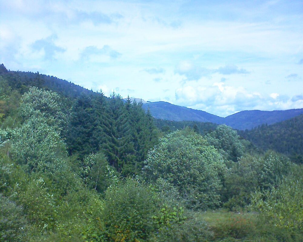 Le petit ballon vu depuis le Domaine Langmatt à Murbach le 30.08.2026 à 12:45 Le petit ballon (Alsace, Vosges) le 30.08.2026 à 12:45