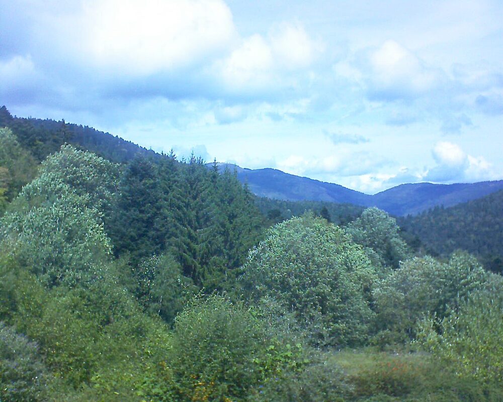Le petit ballon (Alsace, Vosges) le 30.08.2026 à 13:00