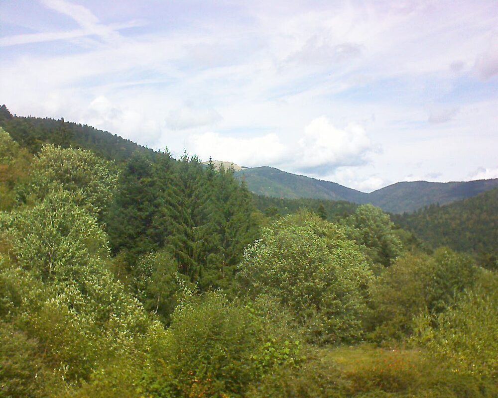 Le petit ballon vu depuis le Domaine Langmatt à Murbach le 30.08.2026 à 13:15 Le petit ballon (Alsace, Vosges) le 30.08.2026 à 13:15