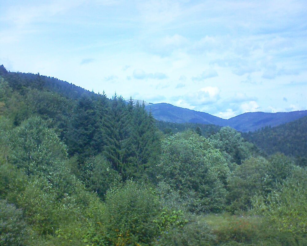 Le petit ballon (Alsace, Vosges) le 30.08.2026 à 13:30