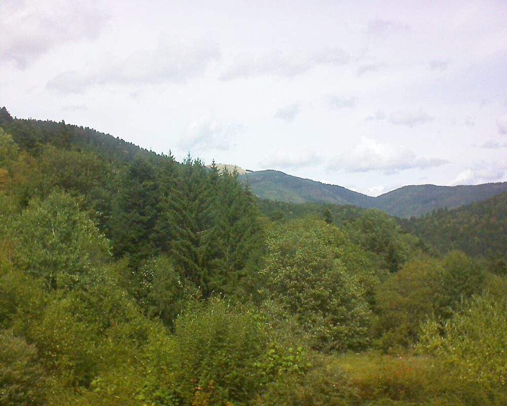 Le petit ballon vu depuis le Domaine Langmatt à Murbach le 30.08.2026 à 13:45 Le petit ballon (Alsace, Vosges) le 30.08.2026 à 13:45