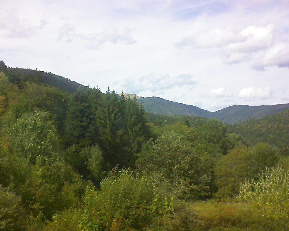 Le petit ballon (Alsace, Vosges) le 30.08.2026 à 15:30