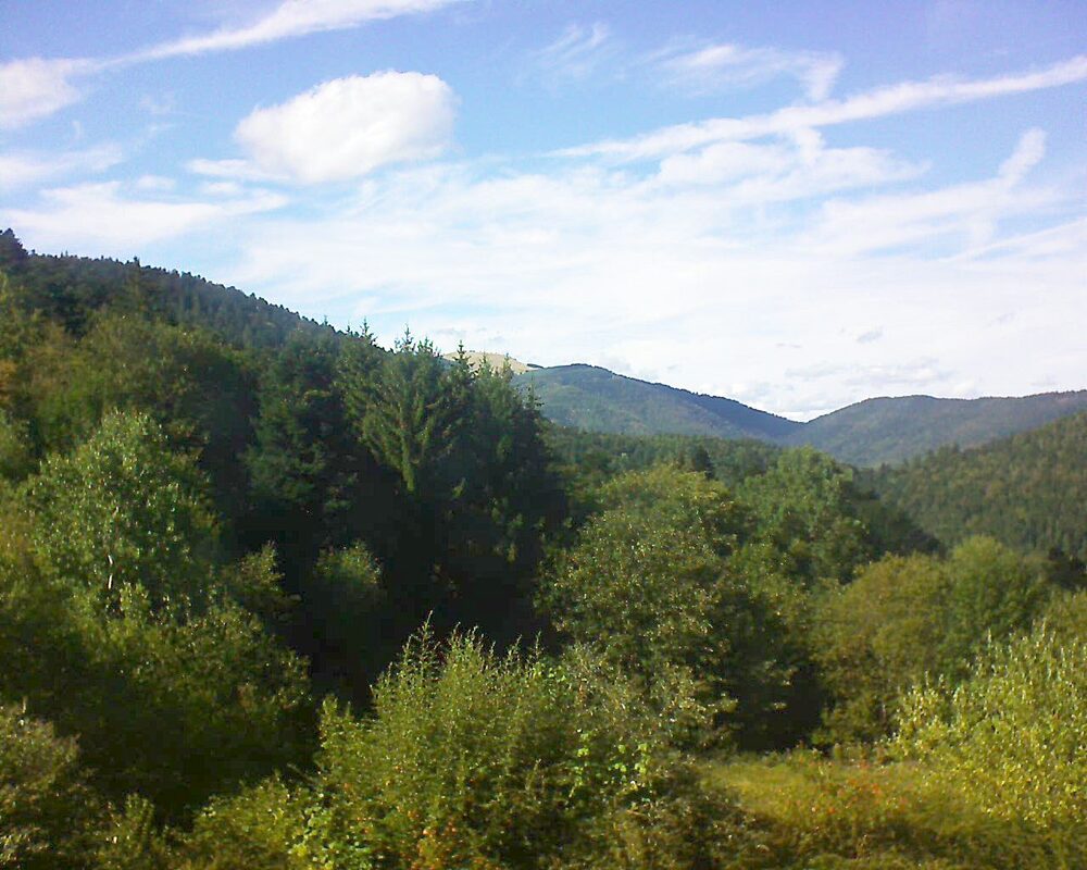 Le petit ballon vu depuis le Domaine Langmatt à Murbach le 30.08.2026 à 16:45 Le petit ballon (Alsace, Vosges) le 30.08.2026 à 16:45