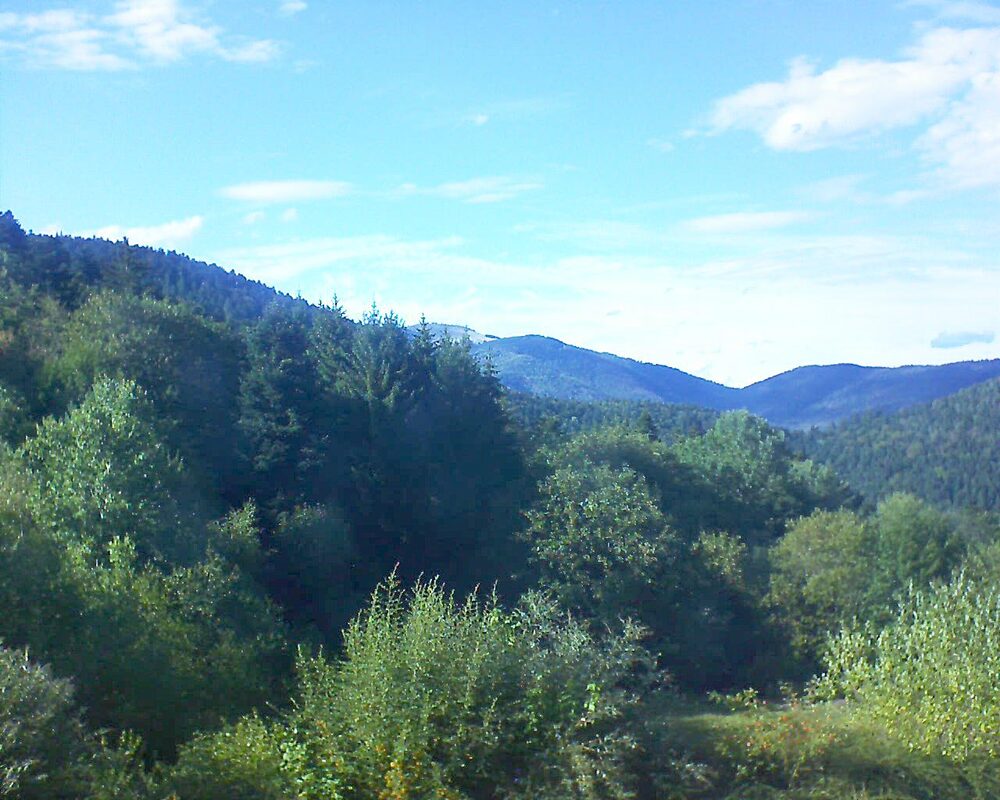 Le petit ballon (Alsace, Vosges) le 30.08.2026 à 17:30