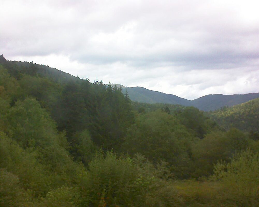 Le petit ballon (Alsace, Vosges) le 31.08.2026 à 12:30