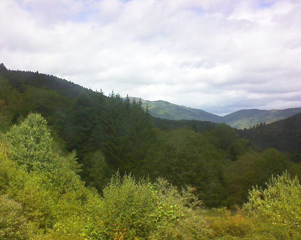 Le petit ballon vu depuis le Domaine Langmatt à Murbach le 31.08.2026 à 13:15 Le petit ballon (Alsace, Vosges) le 31.08.2026 à 13:15