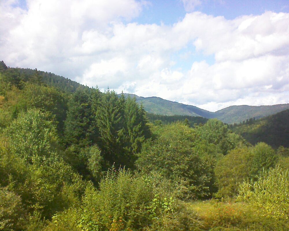 Le petit ballon vu depuis le Domaine Langmatt à Murbach le 31.08.2026 à 15:30 Le petit ballon (Alsace, Vosges) le 31.08.2026 à 15:30