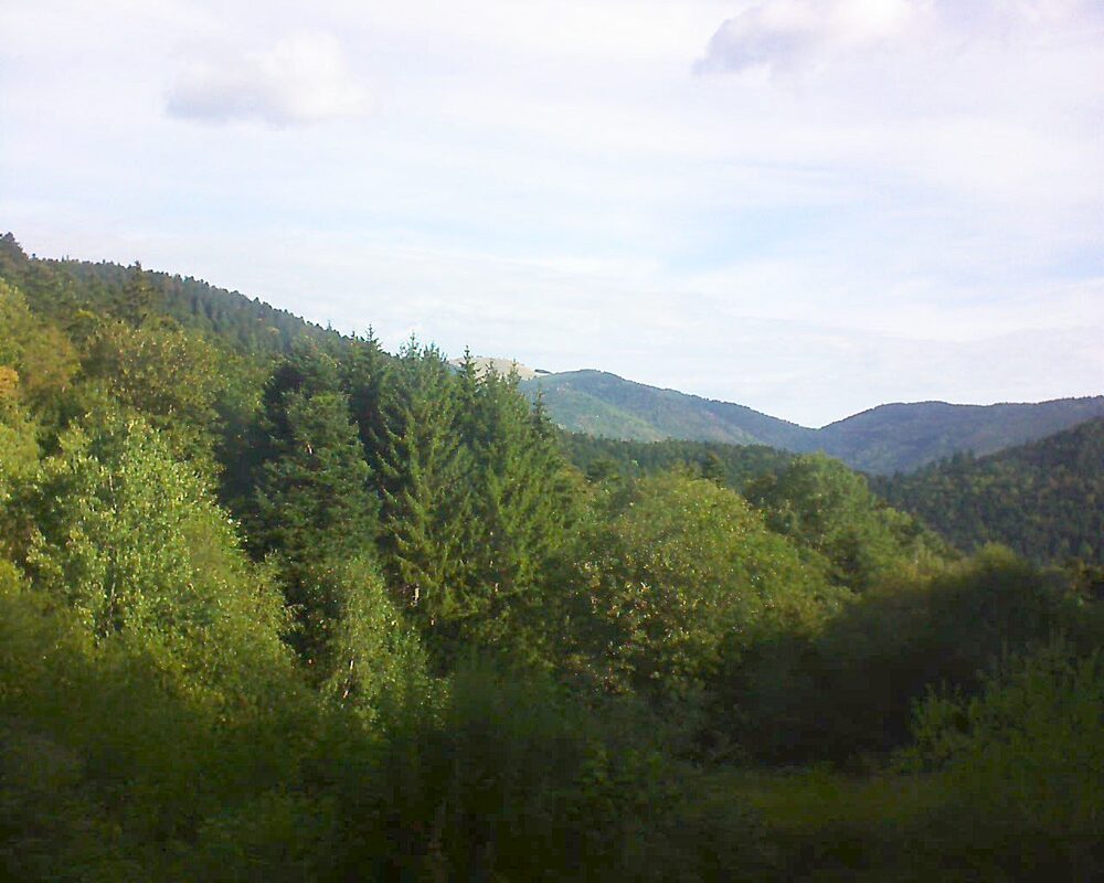 Le petit ballon vu depuis le Domaine Langmatt à Murbach le 01.09.2026 à 09:30 Le petit ballon (Alsace, Vosges) le 01.09.2026 à 09:30