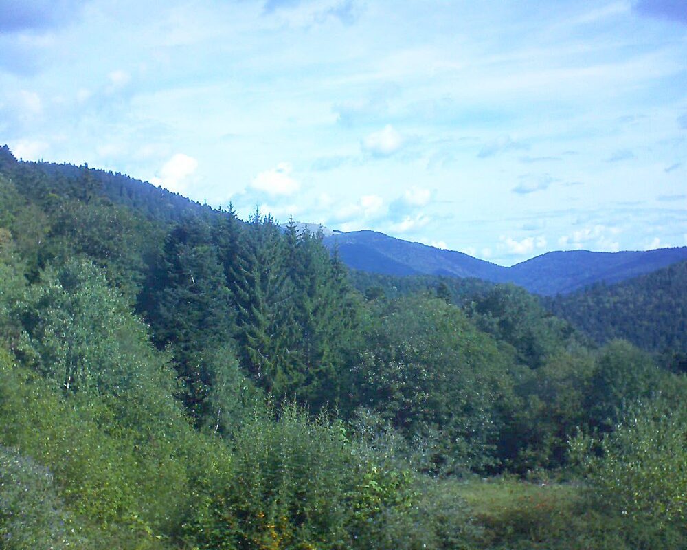 Le petit ballon vu depuis le Domaine Langmatt à Murbach le 01.09.2026 à 10:30 Le petit ballon (Alsace, Vosges) le 01.09.2026 à 10:30