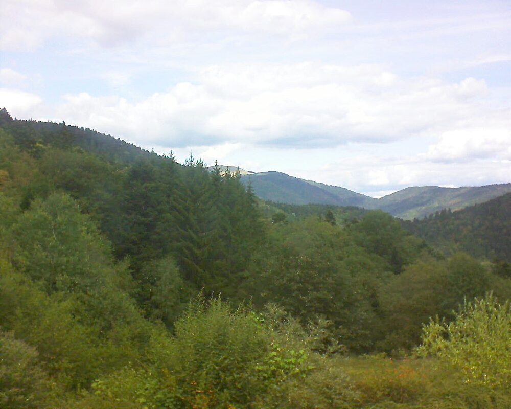 Le petit ballon vu depuis le Domaine Langmatt à Murbach le 01.09.2026 à 13:15 Le petit ballon (Alsace, Vosges) le 01.09.2026 à 13:15