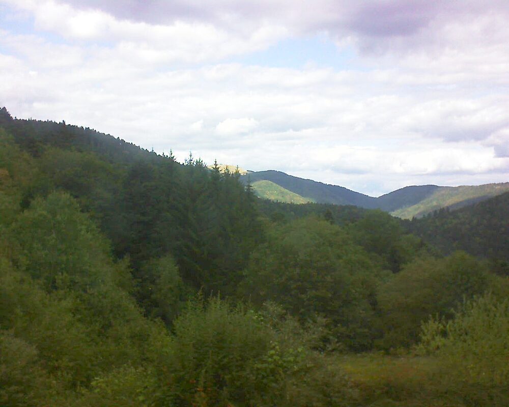 Le petit ballon (Alsace, Vosges) le 01.09.2026 à 14:30