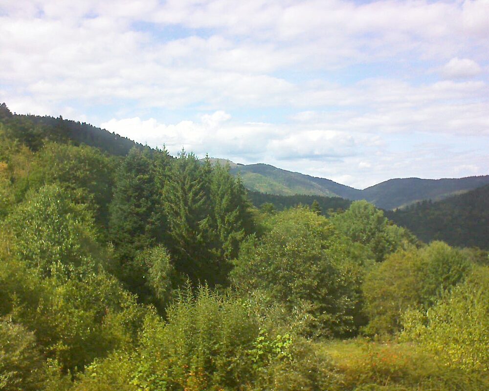 Le petit ballon vu depuis le Domaine Langmatt à Murbach le 01.09.2026 à 15:30 Le petit ballon (Alsace, Vosges) le 01.09.2026 à 15:30