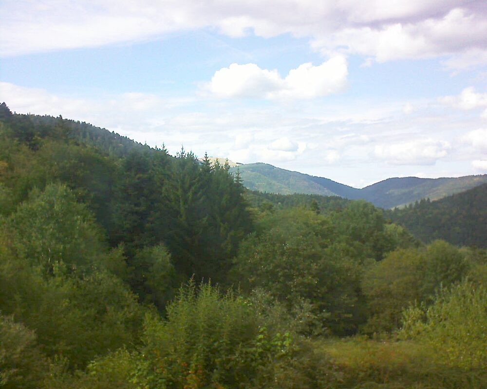 Le petit ballon (Alsace, Vosges) le 01.09.2026 à 16:30