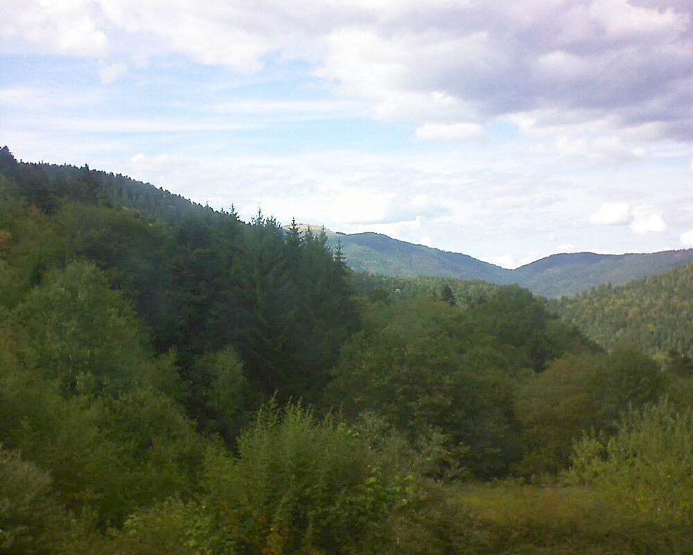 Le petit ballon (Alsace, Vosges) le 01.09.2026 à 16:45
