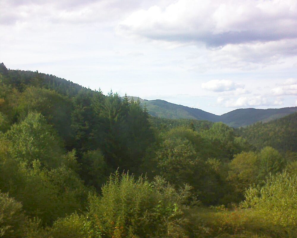 Le petit ballon vu depuis le Domaine Langmatt à Murbach le 01.09.2026 à 17:30 Le petit ballon (Alsace, Vosges) le 01.09.2026 à 17:30