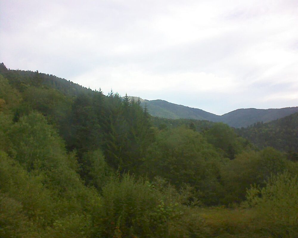 Le petit ballon (Alsace, Vosges) le 02.09.2026 à 08:30