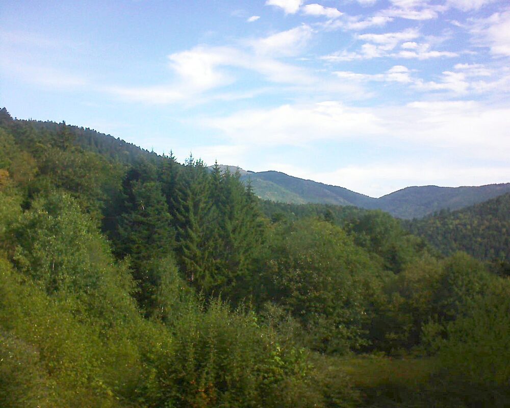 Le petit ballon (Alsace, Vosges) le 02.09.2026 à 10:00