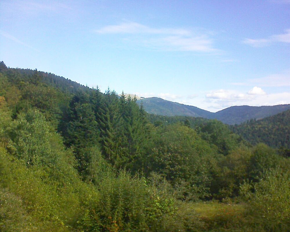 Le petit ballon (Alsace, Vosges) le 02.09.2026 à 10:30