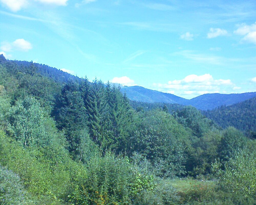Le petit ballon vu depuis le Domaine Langmatt à Murbach le 02.09.2026 à 10:45 Le petit ballon (Alsace, Vosges) le 02.09.2026 à 10:45